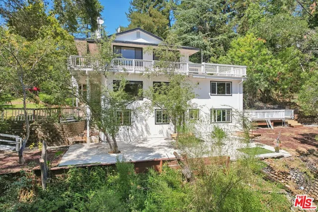 a view of a street with a tree