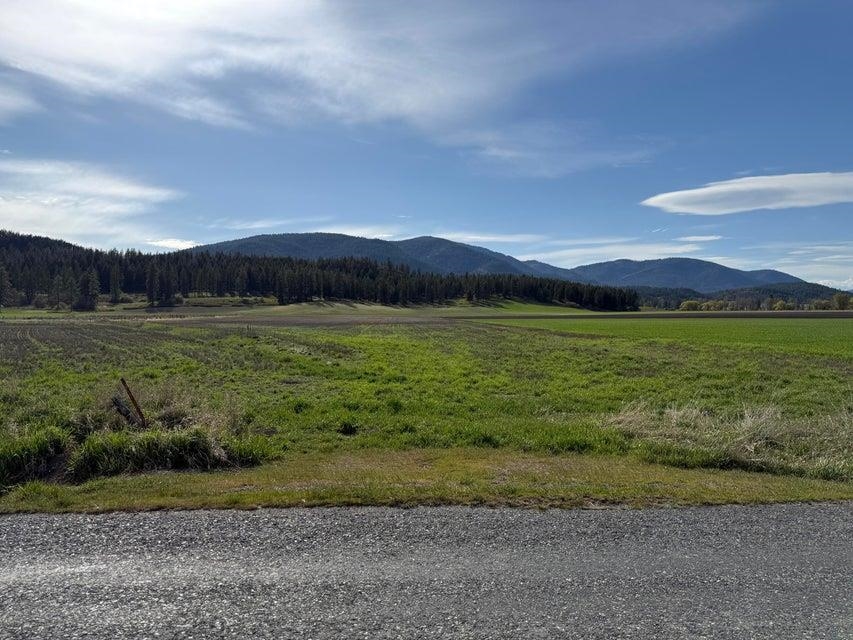 Tbd Zimmer Road Addy, WA 99101 - Photo 5 of 7