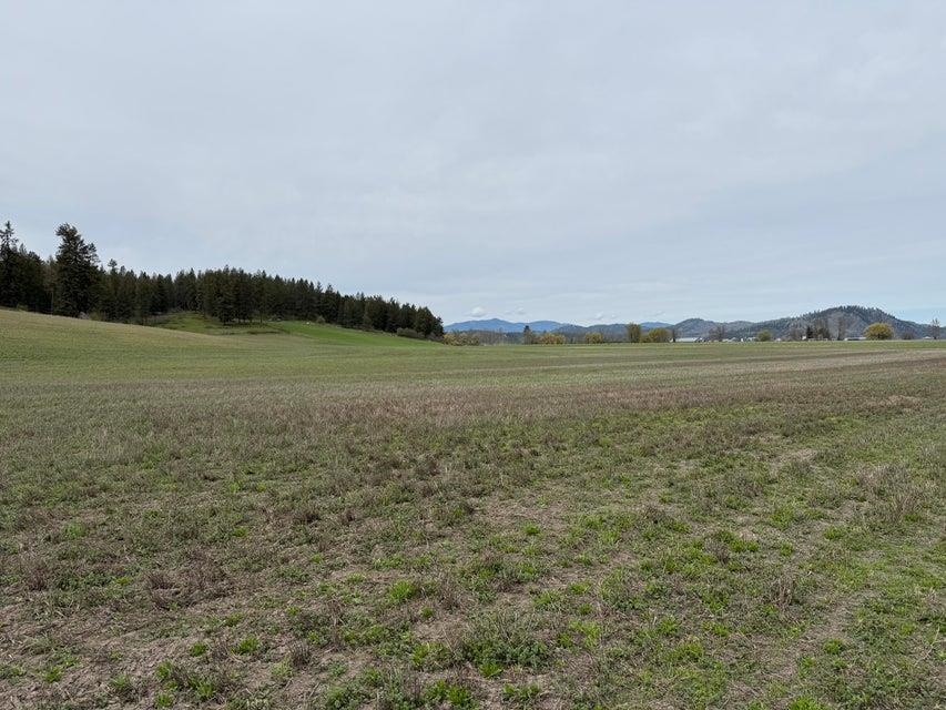 Tbd Zimmer Road Addy, WA 99101 - Photo 6 of 7