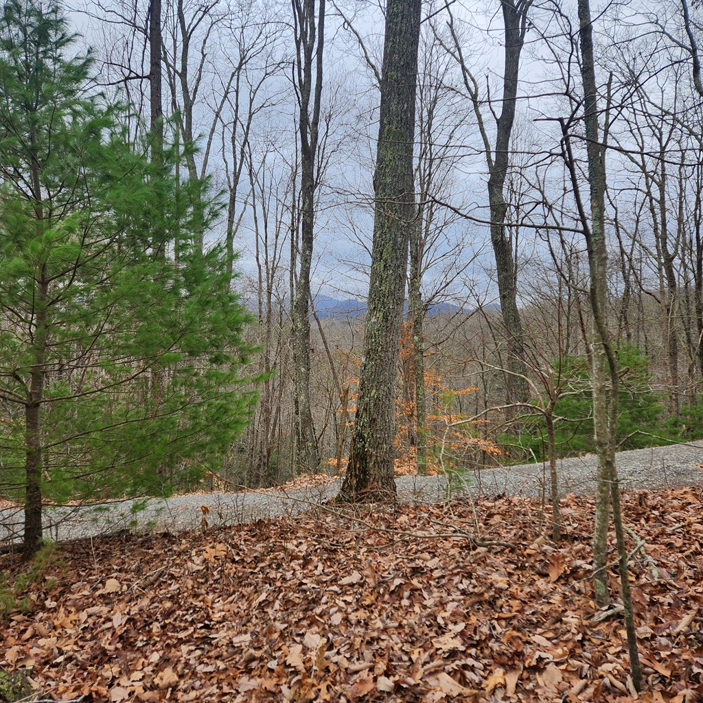 7.72-ac Tower Road Mineral Bluff, GA 30559 - Photo 2 of 16 Gallery Image 2