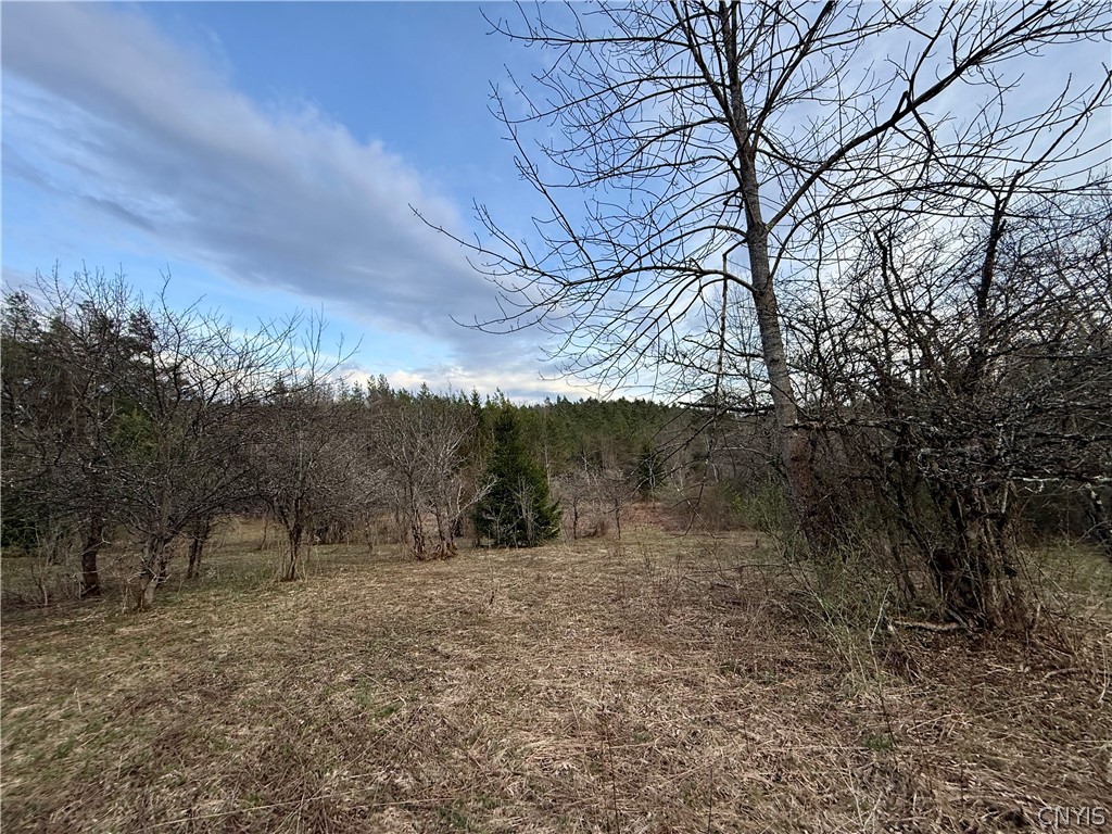 Springer Road De Ruyter, NY 13052 - Photo 11 of 13