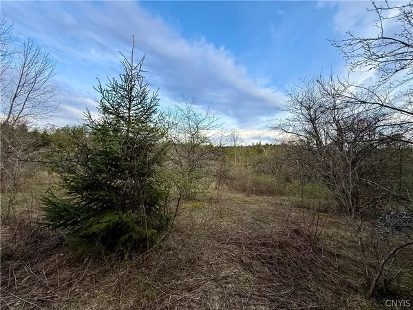 $70,000 | Springer Road, De Ruyter, NY 13052