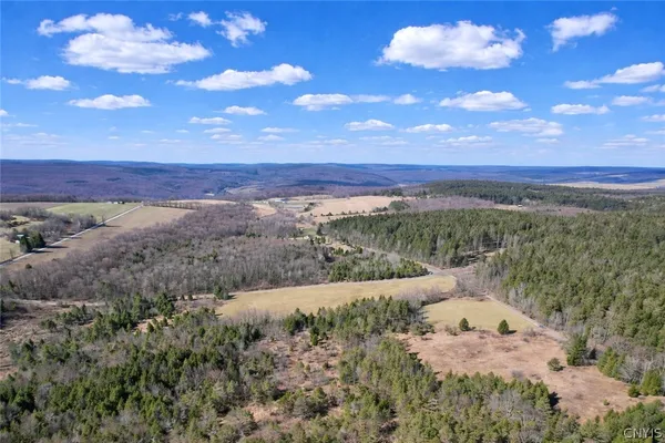 $70,000 | Springer Road, De Ruyter, NY 13052
