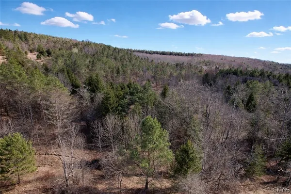 $70,000 | Springer Road, De Ruyter, NY 13052