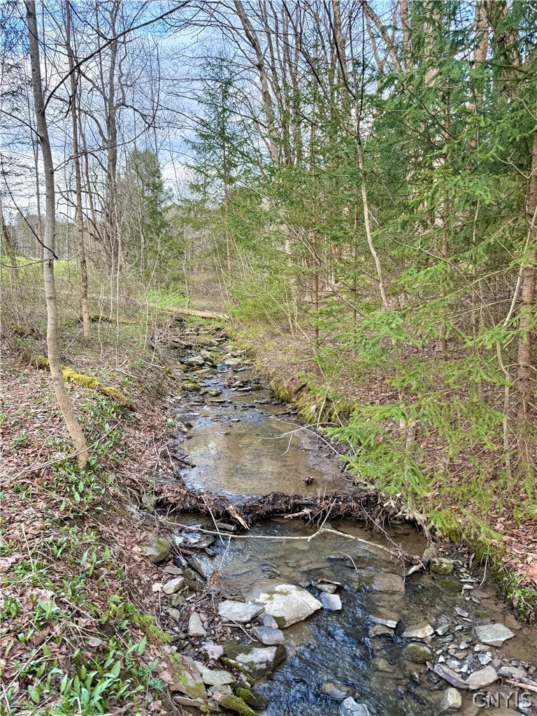 Springer Road De Ruyter, NY 13052 - Photo 8 of 13
