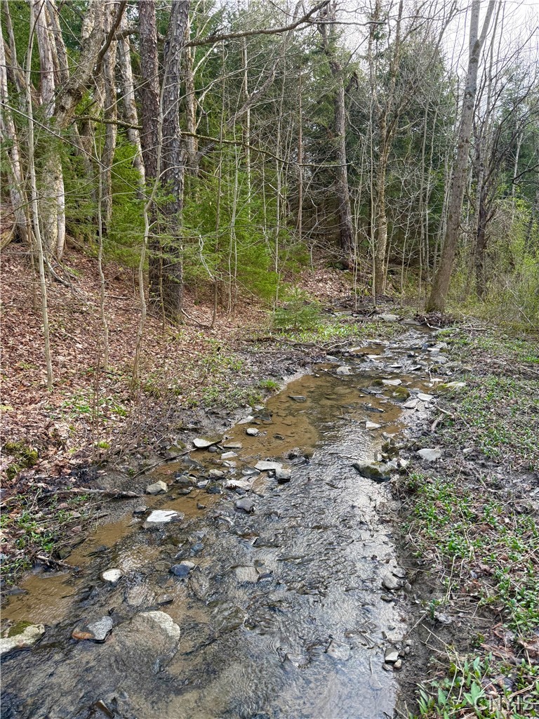 Springer Road De Ruyter, NY 13052 - Photo 9 of 13