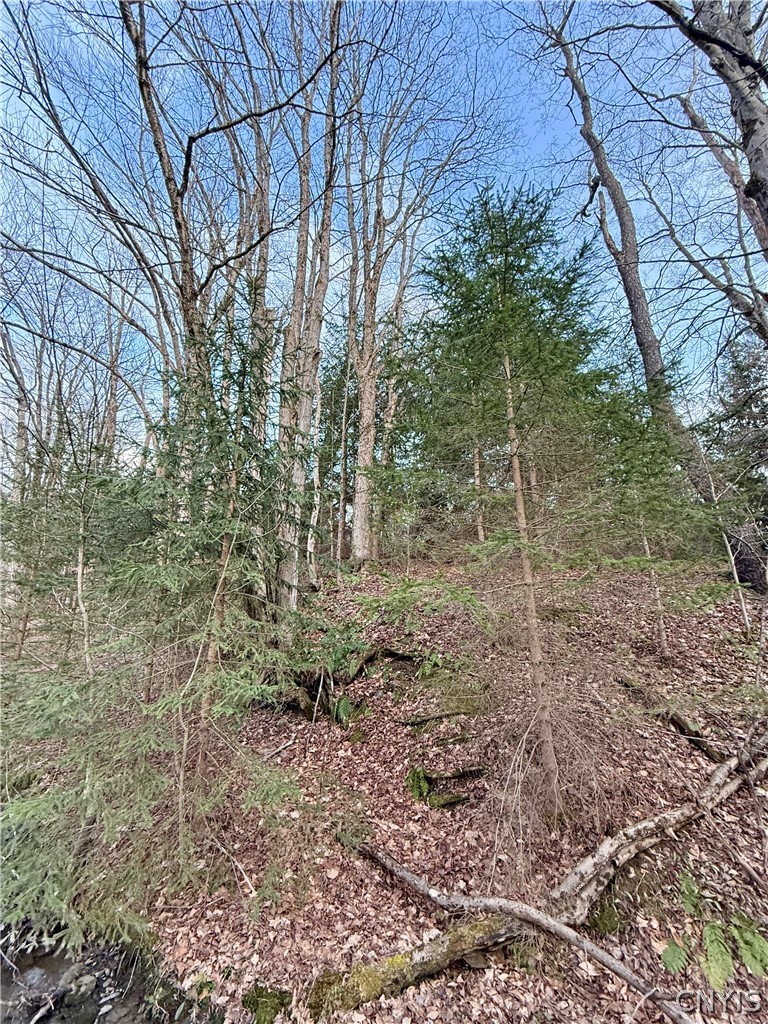Springer Road De Ruyter, NY 13052 - Photo 10 of 13