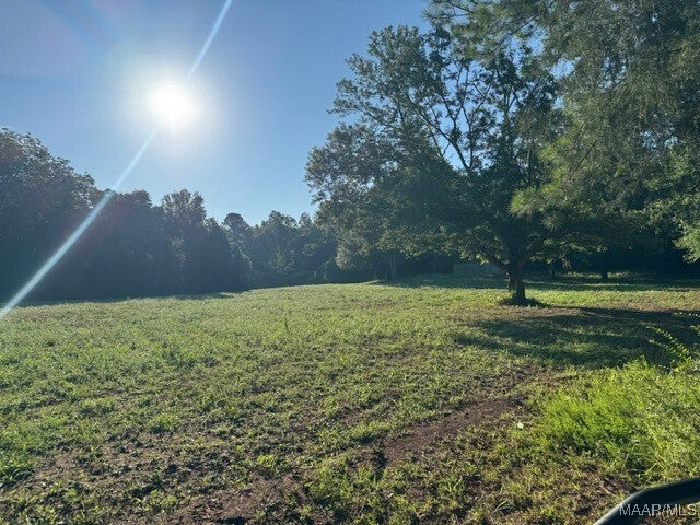 1205 Turkey Creek Road Luverne, AL 36049 - Photo 37 of 51 Gallery Image 37