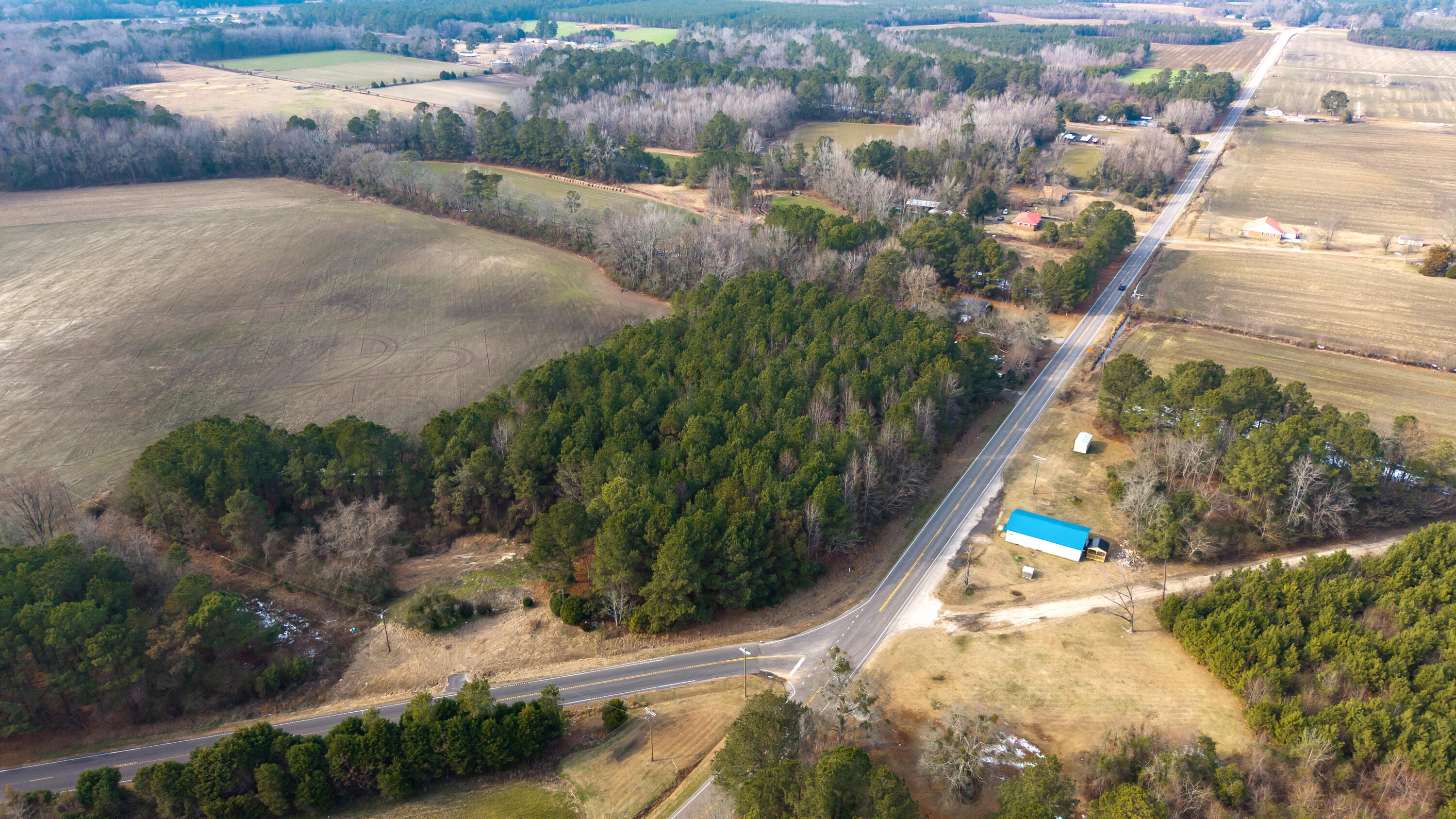 0 Plowden Mill Road Alcolu, SC 29001 - Photo 11 of 14 08