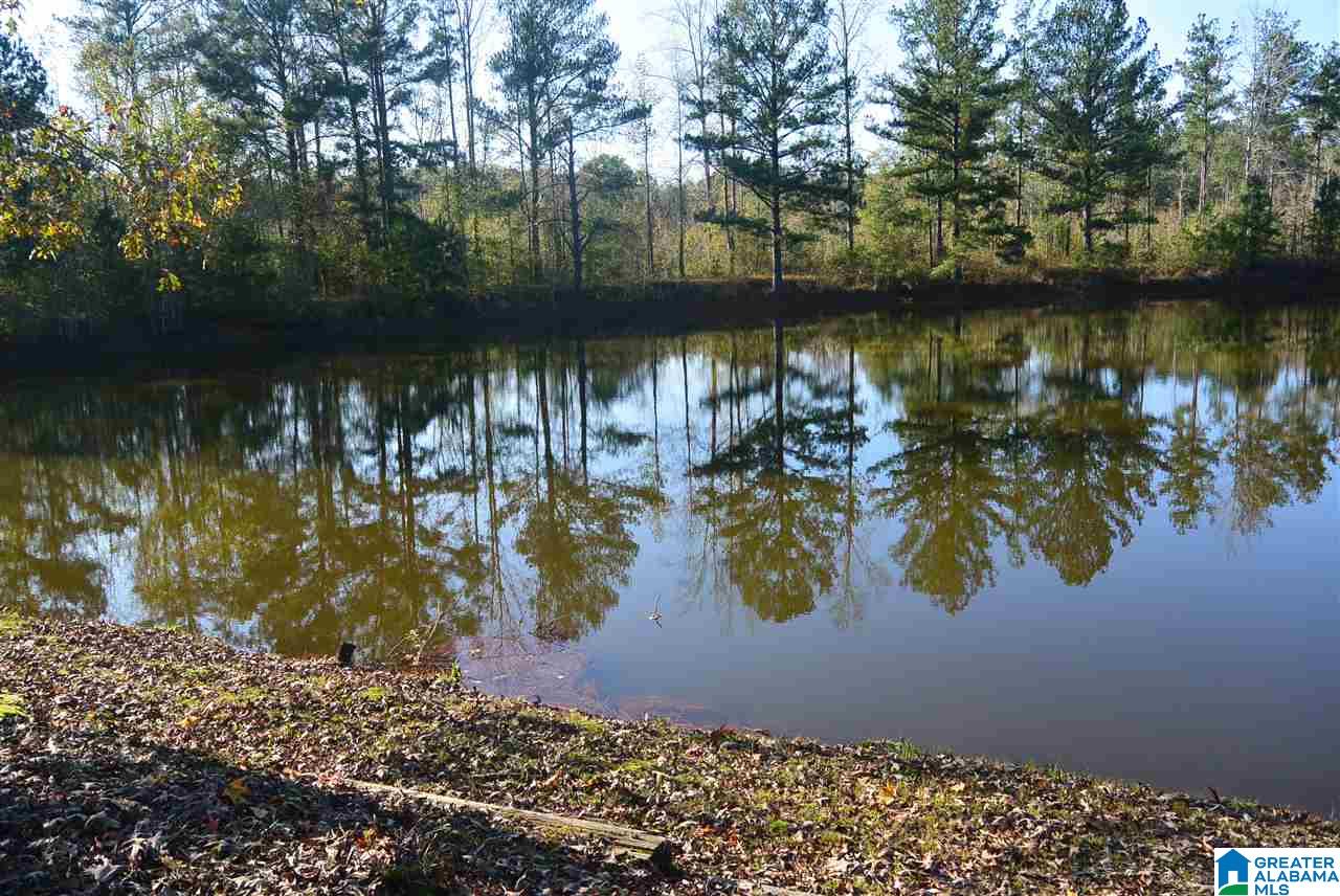 2238 Bear Creek Road Brent, AL 35034 - Photo 29 of 34