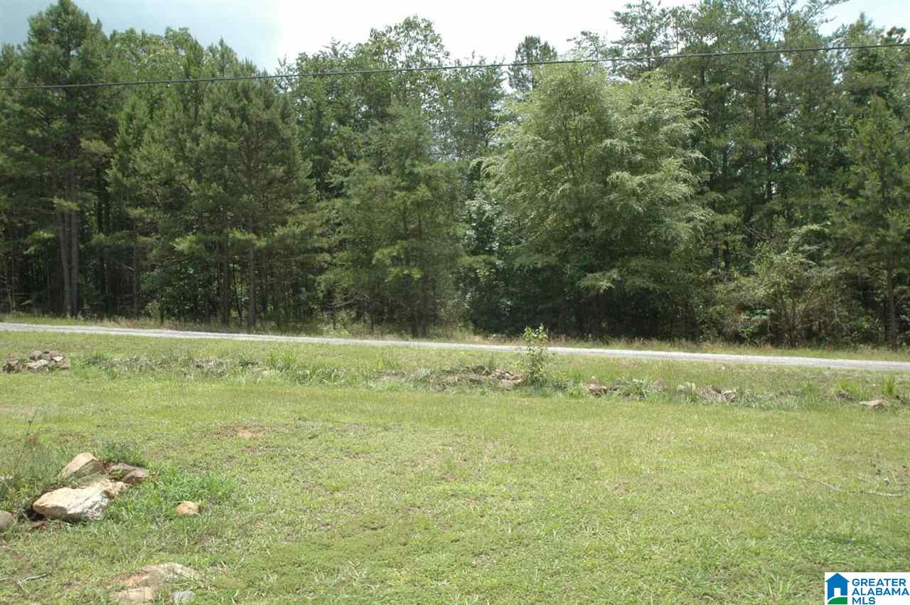 215 Ridge View Drive Altoona, AL 35952 - Photo 4 of 4
