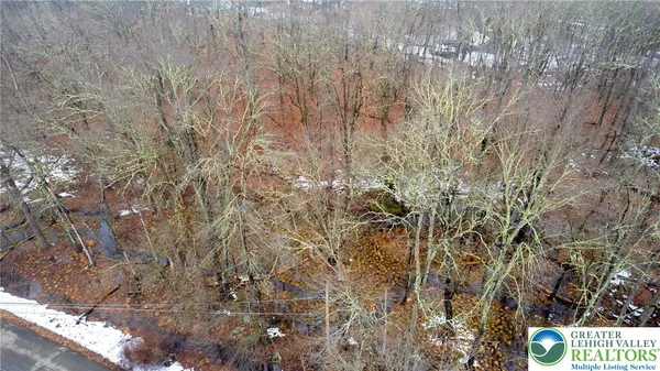 a view of tree