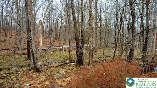 a view of outdoor space and a yard