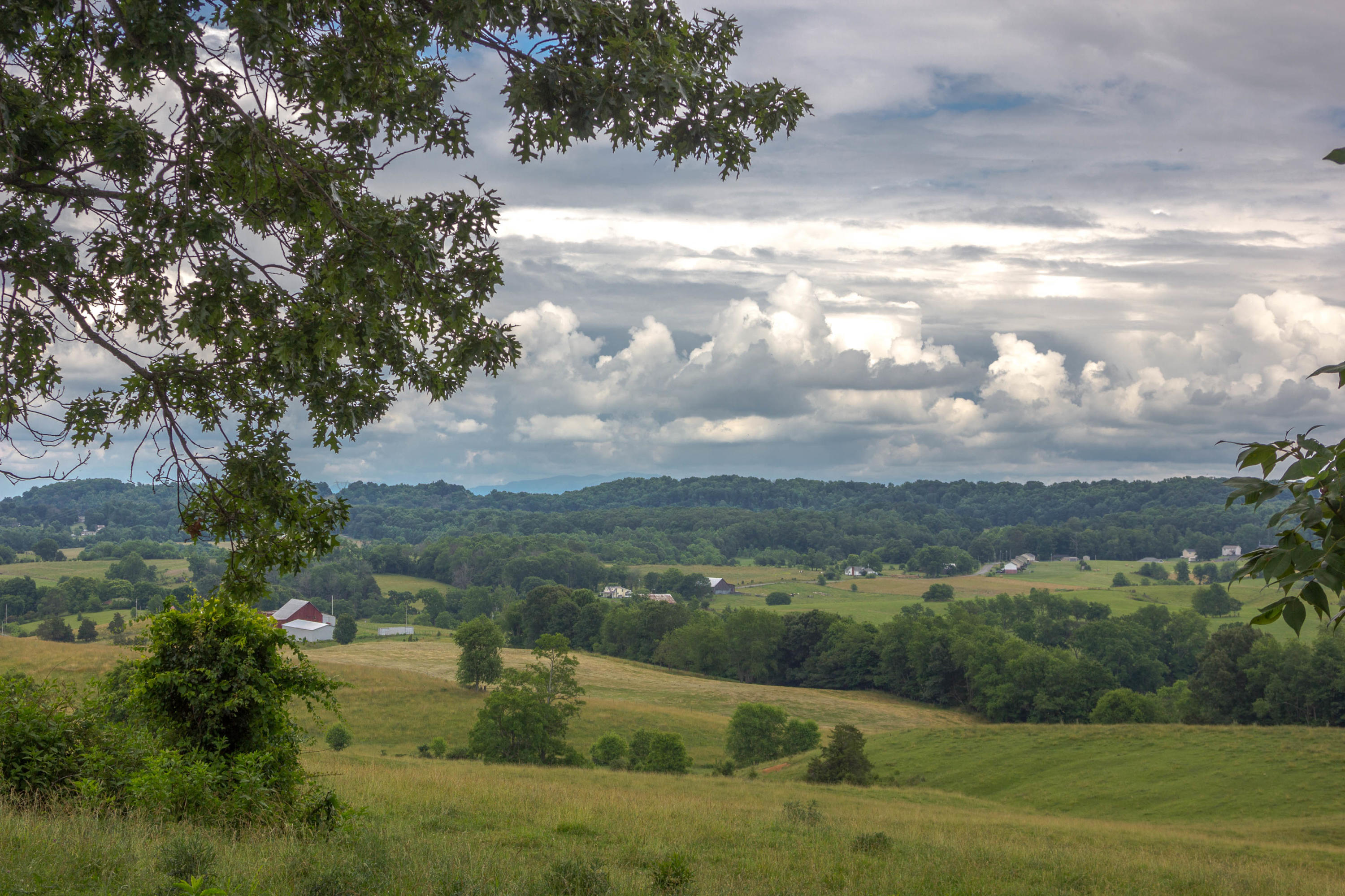 169 Townsend Road Fall Branch, TN 37656 - Photo 54 of 63 IMG_0222