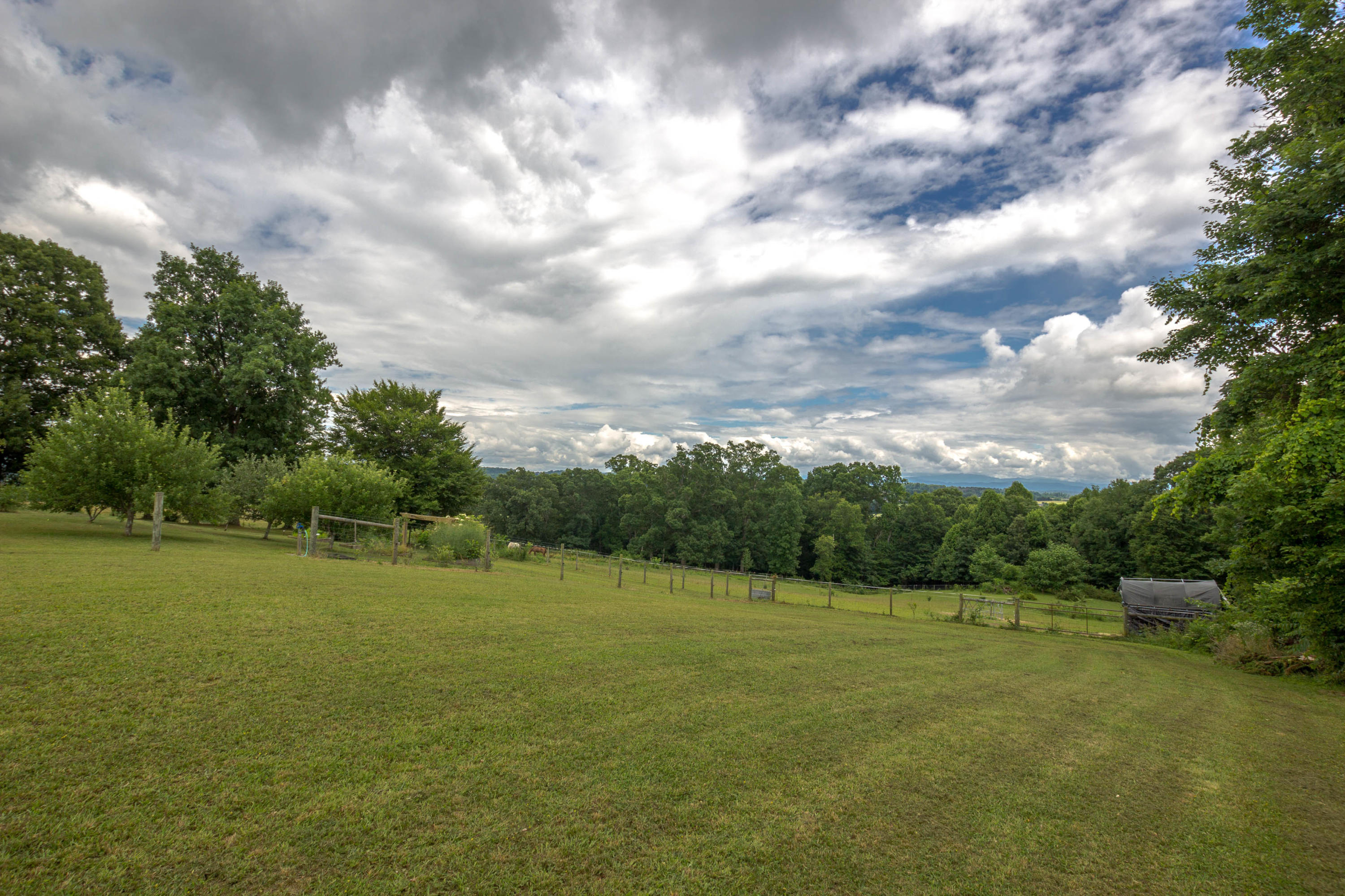 169 Townsend Road Fall Branch, TN 37656 - Photo 61 of 63 IMG_0242