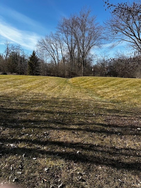 6540 Bentley Avenue Willowbrook, IL 60527 - Photo 15 of 18 a view of yard with wooden fence