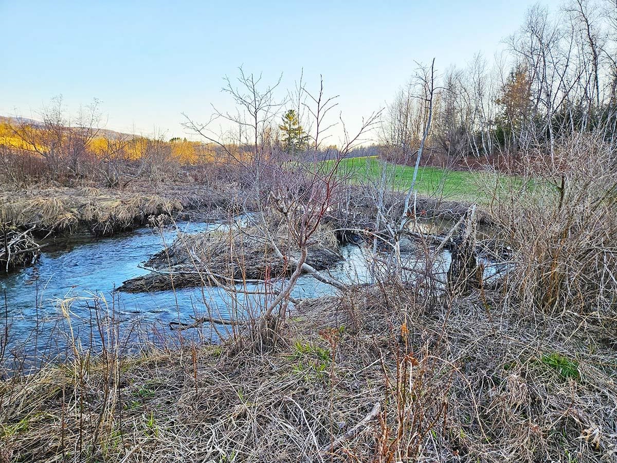 Lot 12 Paradis Lane Enosburg Falls, VT 05450 - Photo 11 of 16