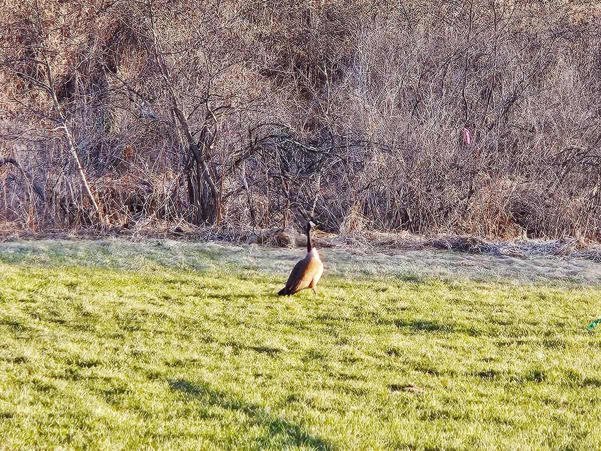 Lot 12 Paradis Lane Enosburg Falls, VT 05450 - Photo 12 of 16
