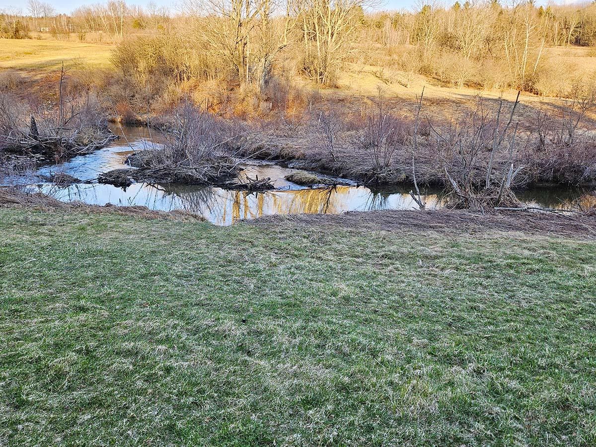 Lot 12 Paradis Lane Enosburg Falls, VT 05450 - Photo 6 of 16