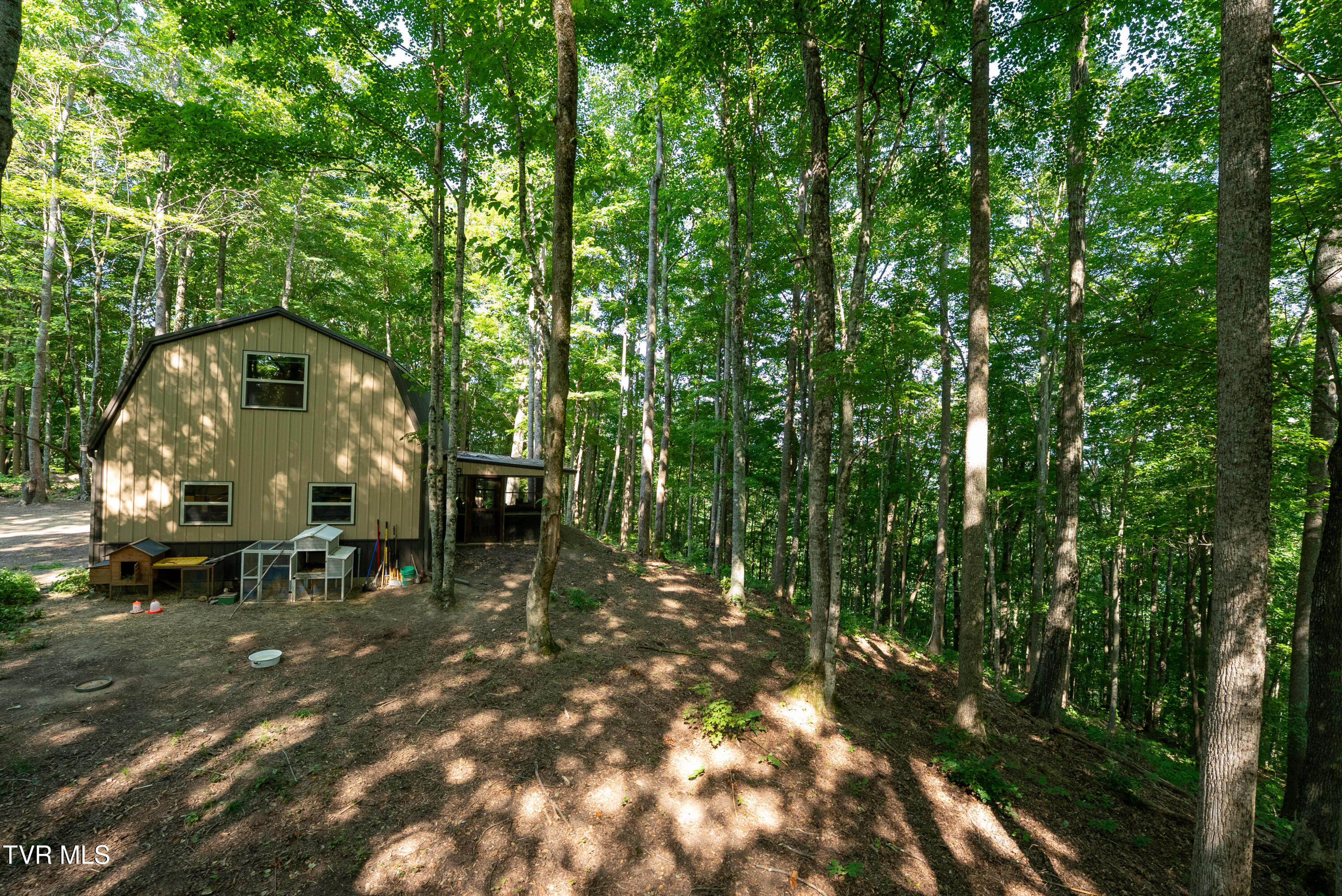 310-ac Ben Bloomer Road Sneedville, TN 37869 - Photo 13 of 98 Copy of _Pic14