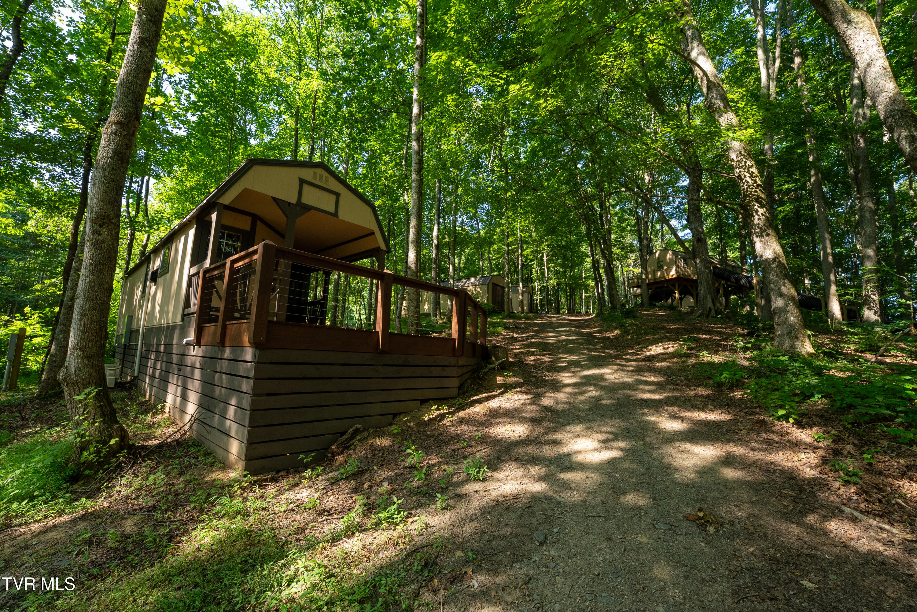 310-ac Ben Bloomer Road Sneedville, TN 37869 - Photo 31 of 98 Copy of _Pic32jpg