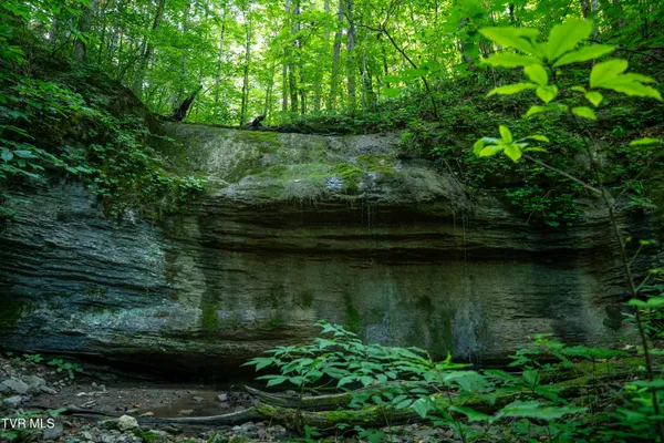 $2,650,000 | 310-ac Ben Bloomer Road, Sneedville, TN 37869