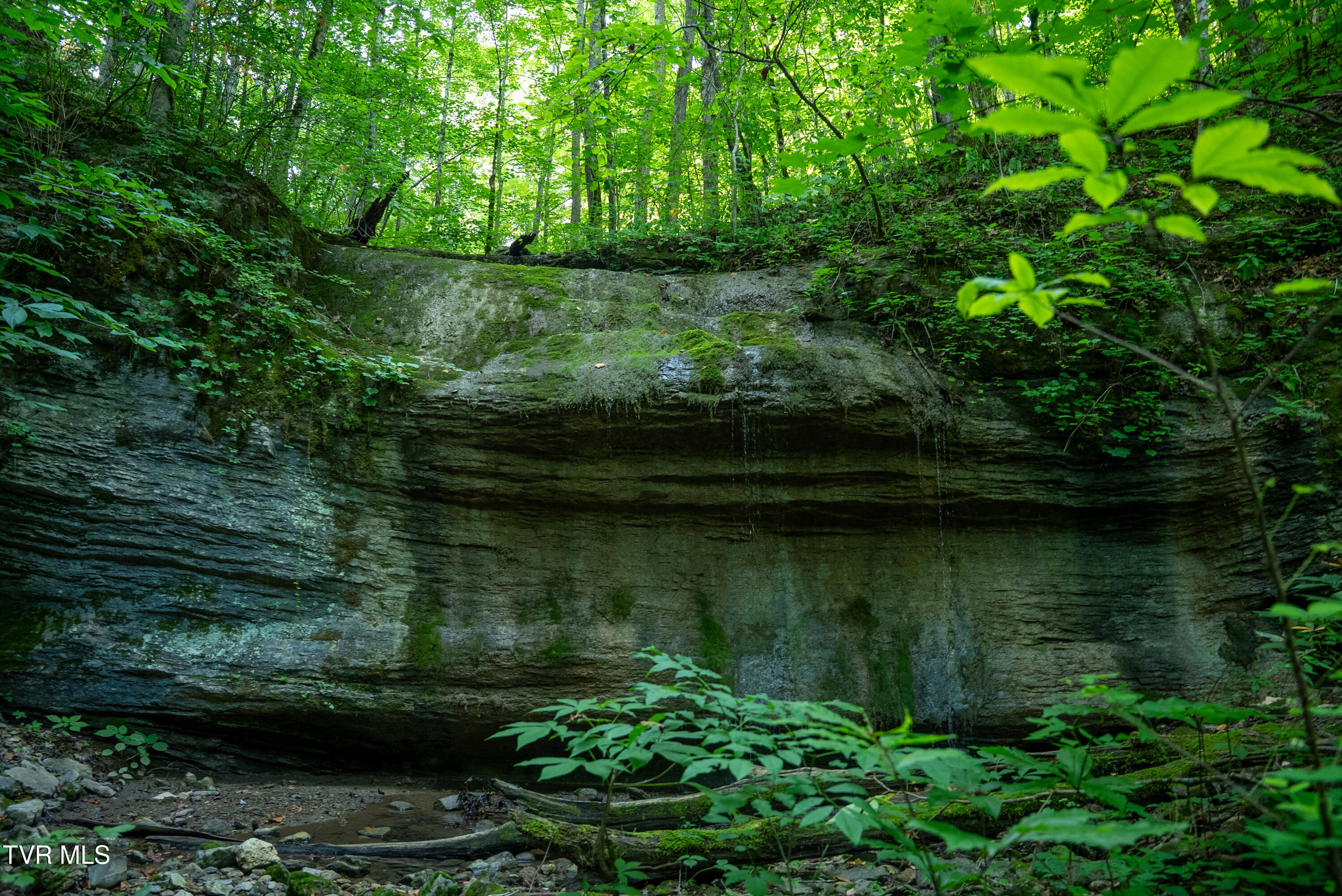 310-ac Ben Bloomer Road Sneedville, TN 37869 - Photo 4 of 98 _Pic4