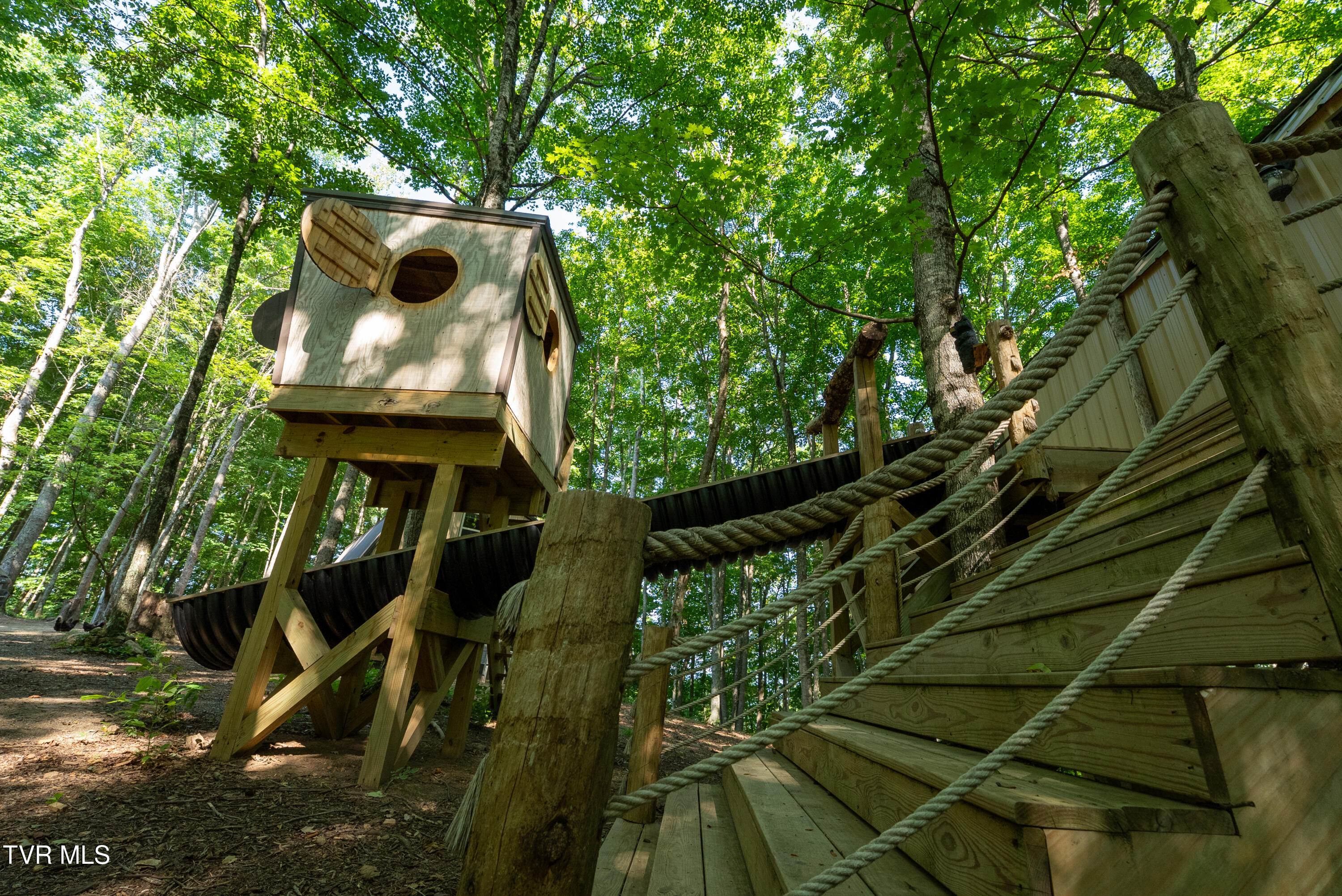 310-ac Ben Bloomer Road Sneedville, TN 37869 - Photo 5 of 98 _Pic5