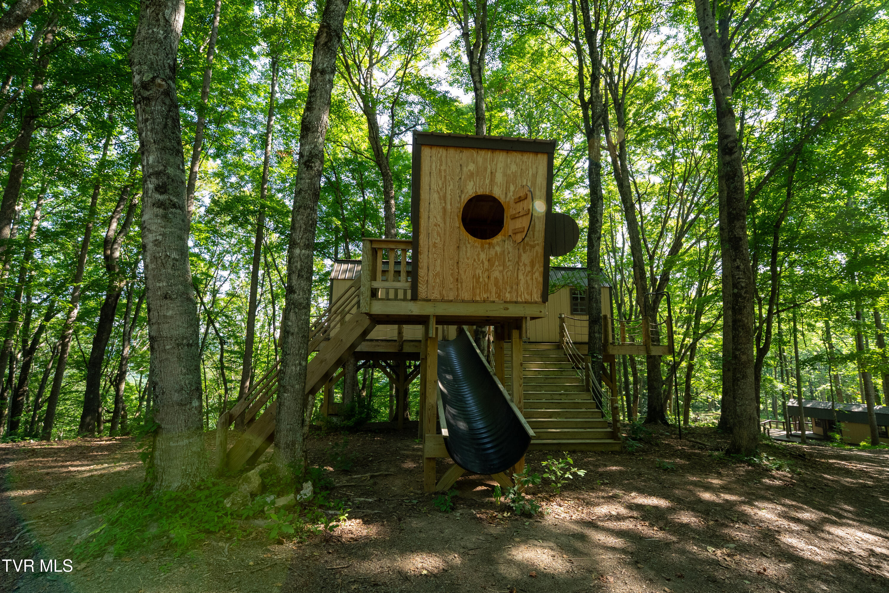 310-ac Ben Bloomer Road Sneedville, TN 37869 - Photo 54 of 98 Copy of _Pic54