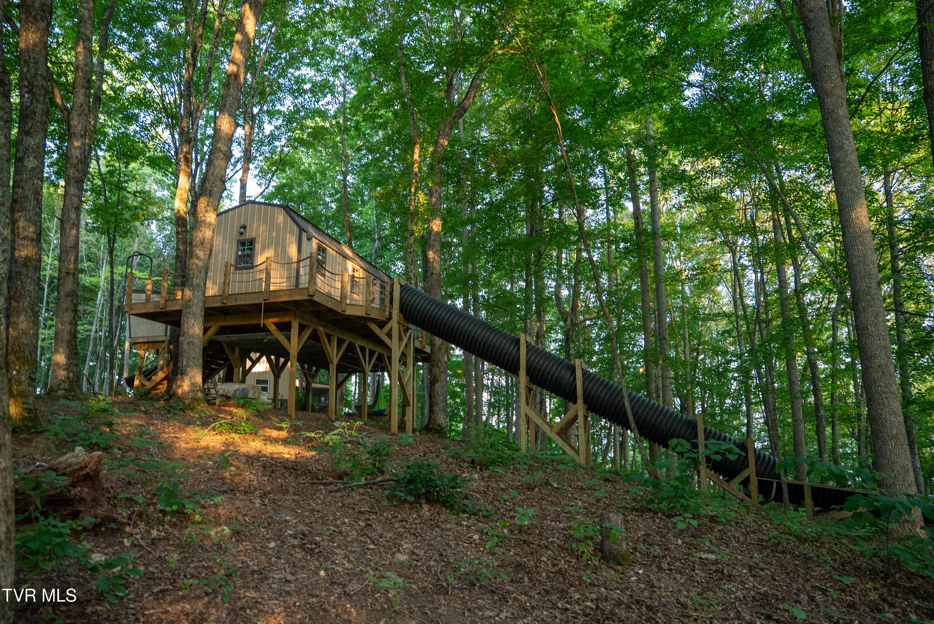 310-ac Ben Bloomer Road Sneedville, TN 37869 - Photo 57 of 98 Copy of _Pic57