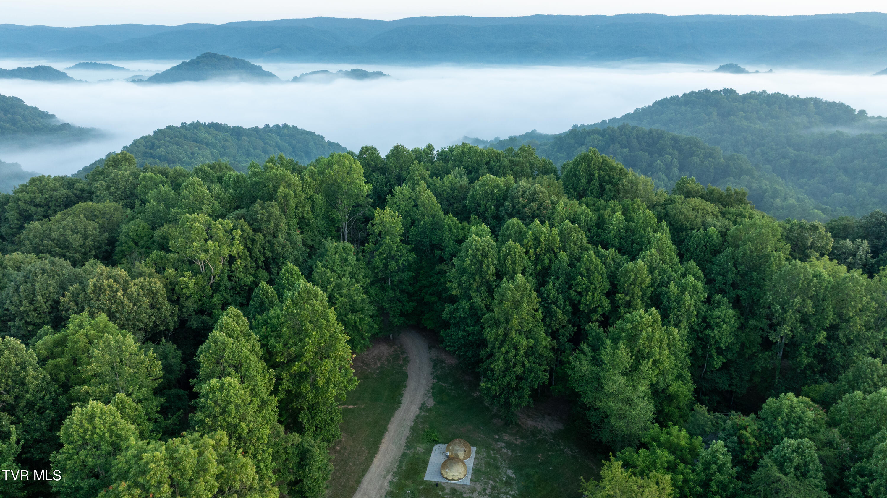 310-ac Ben Bloomer Road Sneedville, TN 37869 - Photo 6 of 98 _Pic6