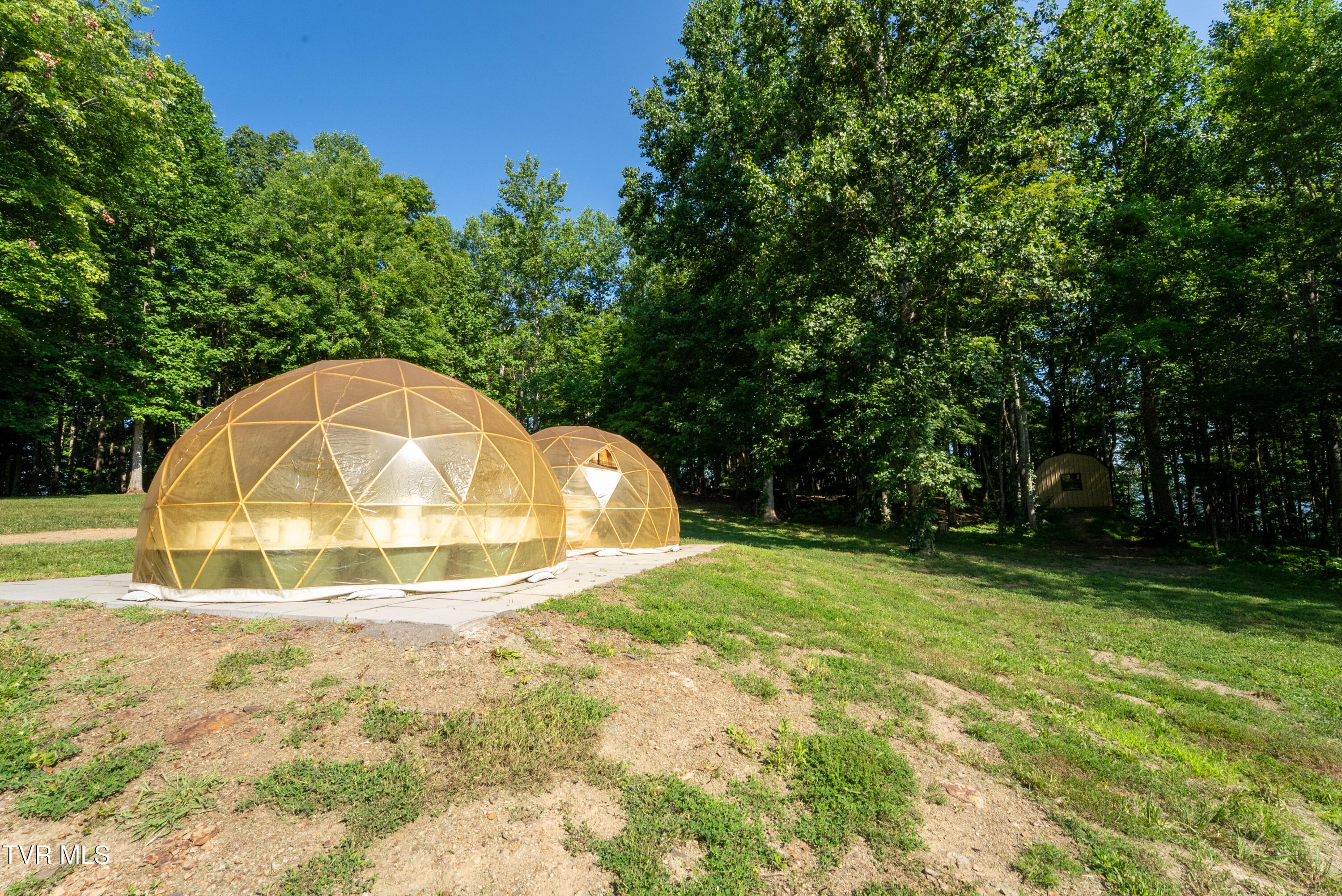 310-ac Ben Bloomer Road Sneedville, TN 37869 - Photo 7 of 98 Copy of _Pic7