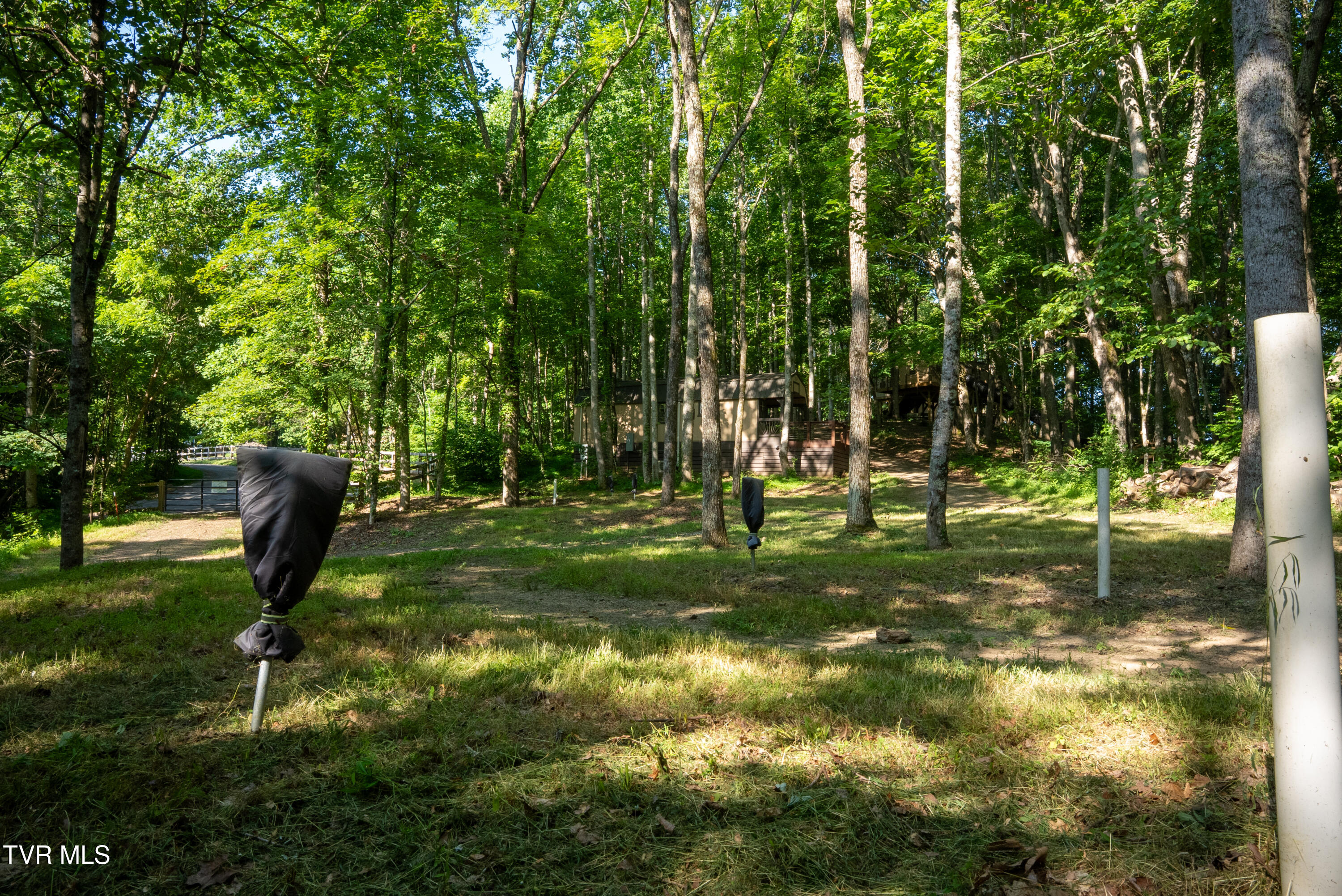 310-ac Ben Bloomer Road Sneedville, TN 37869 - Photo 74 of 98 Copy of _Pic77