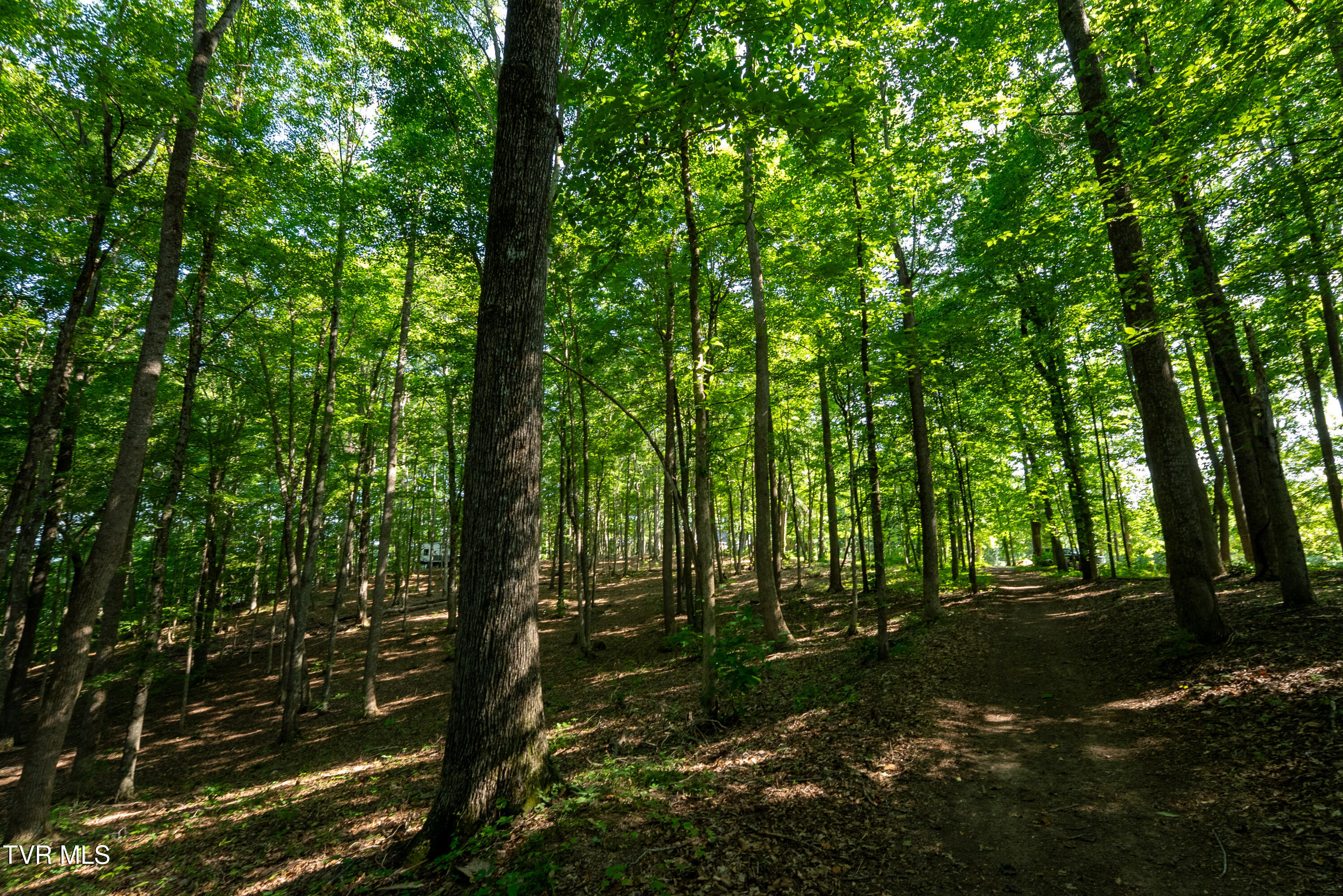 310-ac Ben Bloomer Road Sneedville, TN 37869 - Photo 75 of 98 Copy of _Pic78