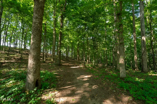 $2,650,000 | 310-ac Ben Bloomer Road, Sneedville, TN 37869