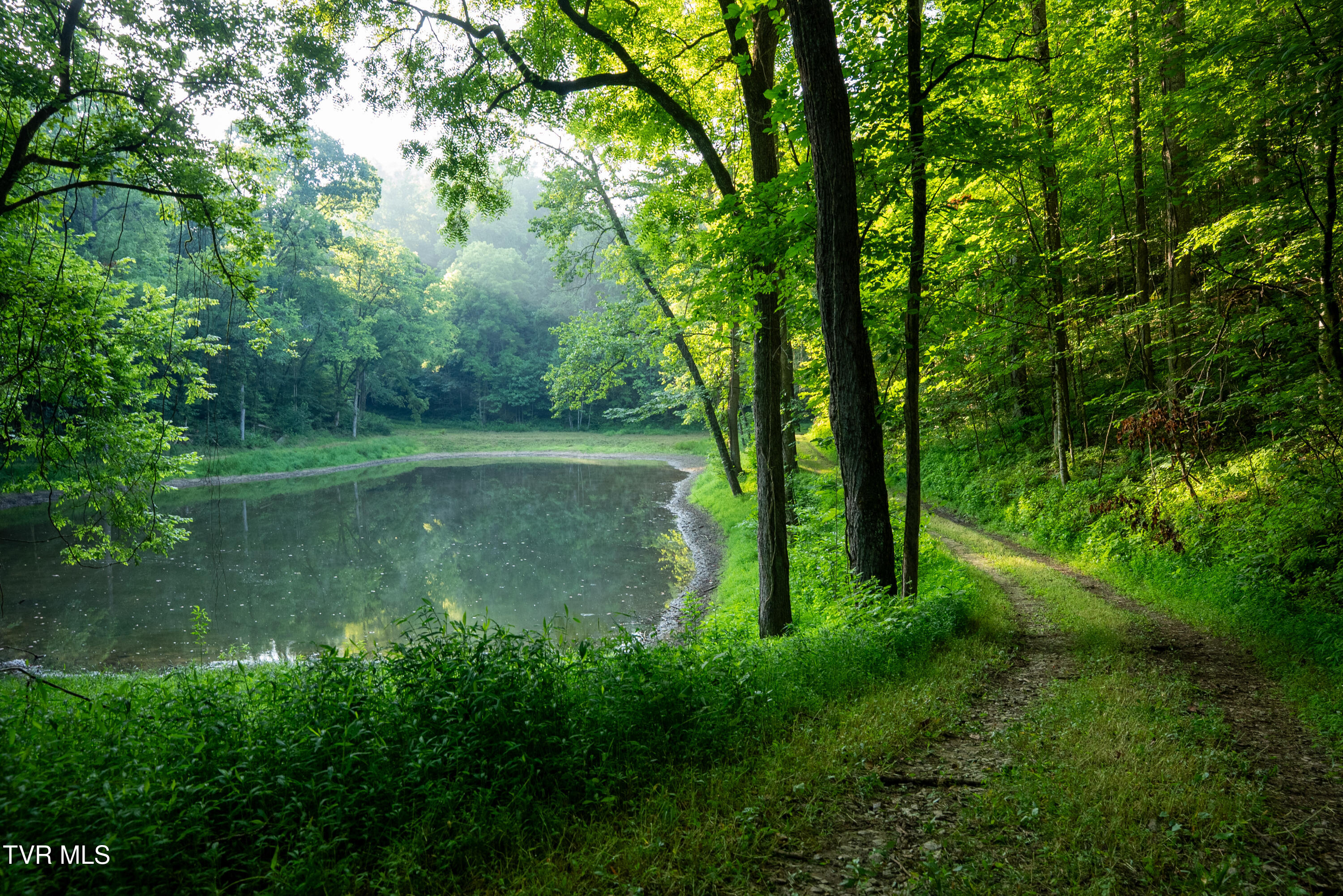 310-ac Ben Bloomer Road Sneedville, TN 37869 - Photo 79 of 98 Copy of _Pic89