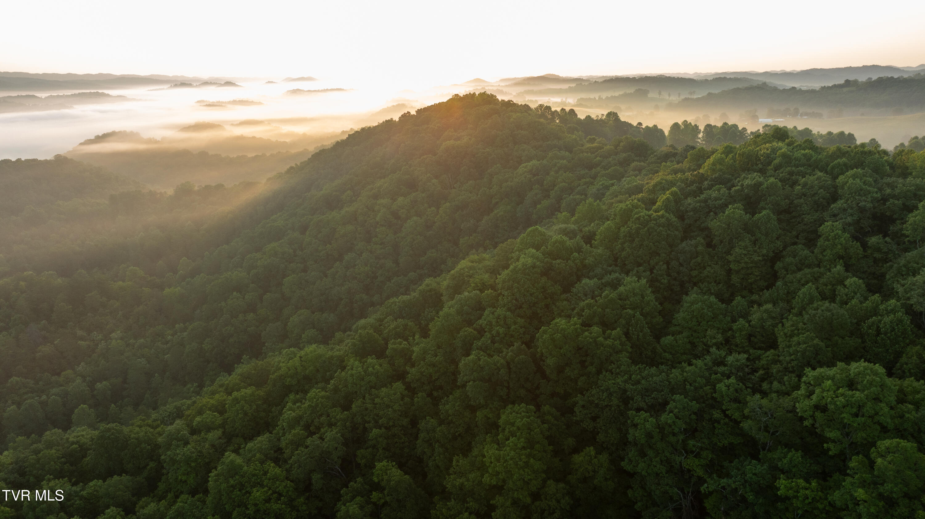 310-ac Ben Bloomer Road Sneedville, TN 37869 - Photo 84 of 98 Copy of _Pic140