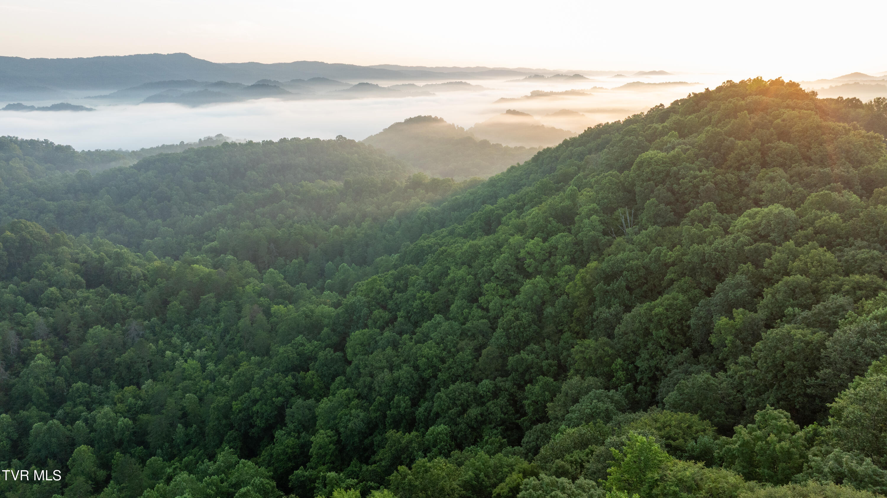 310-ac Ben Bloomer Road Sneedville, TN 37869 - Photo 85 of 98 Copy of _Pic141