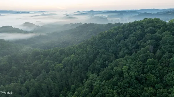 $2,650,000 | 310-ac Ben Bloomer Road, Sneedville, TN 37869