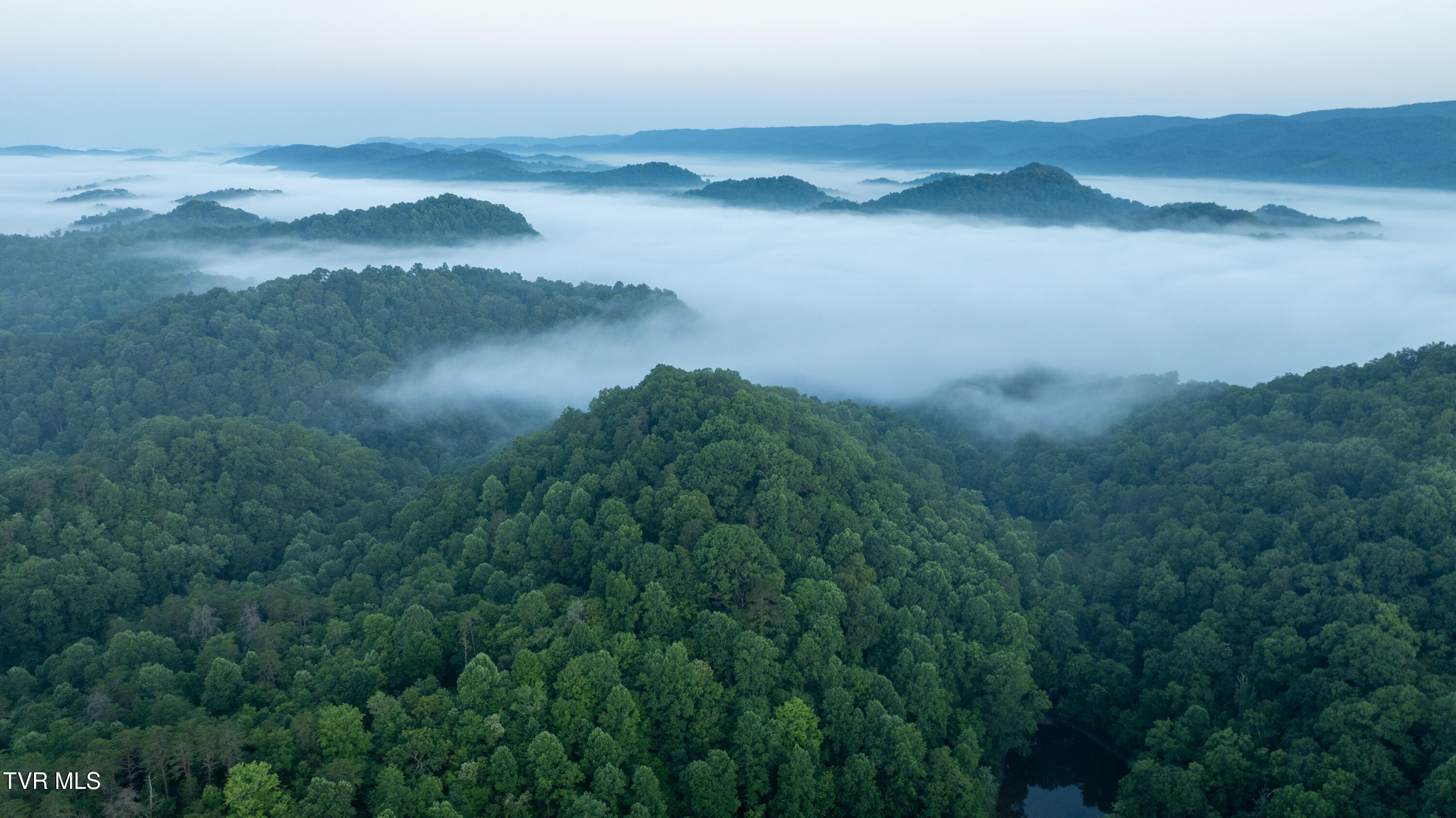 310-ac Ben Bloomer Road Sneedville, TN 37869 - Photo 87 of 98 Copy of _Pic143