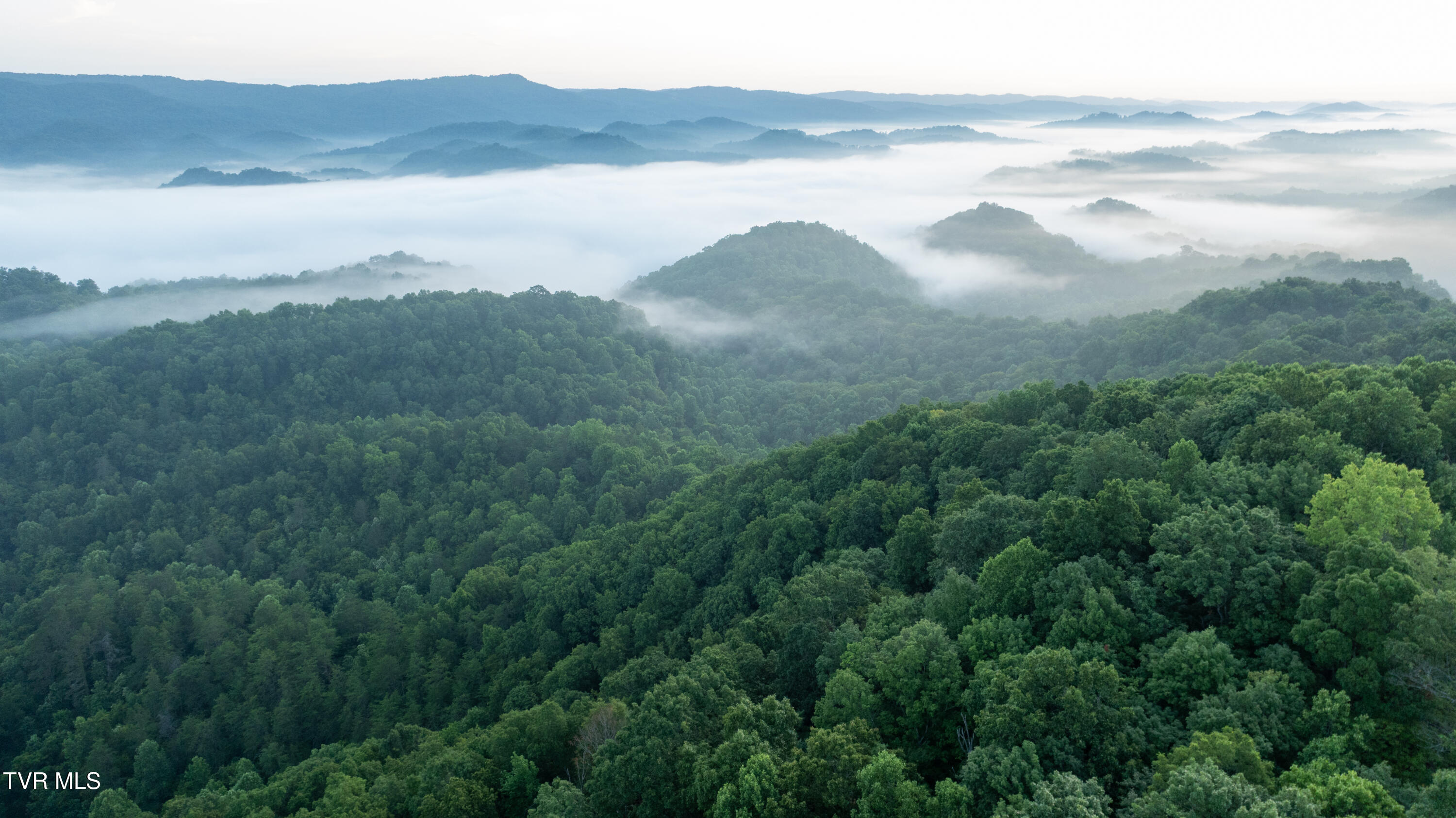 310-ac Ben Bloomer Road Sneedville, TN 37869 - Photo 88 of 98 Copy of _Pic144