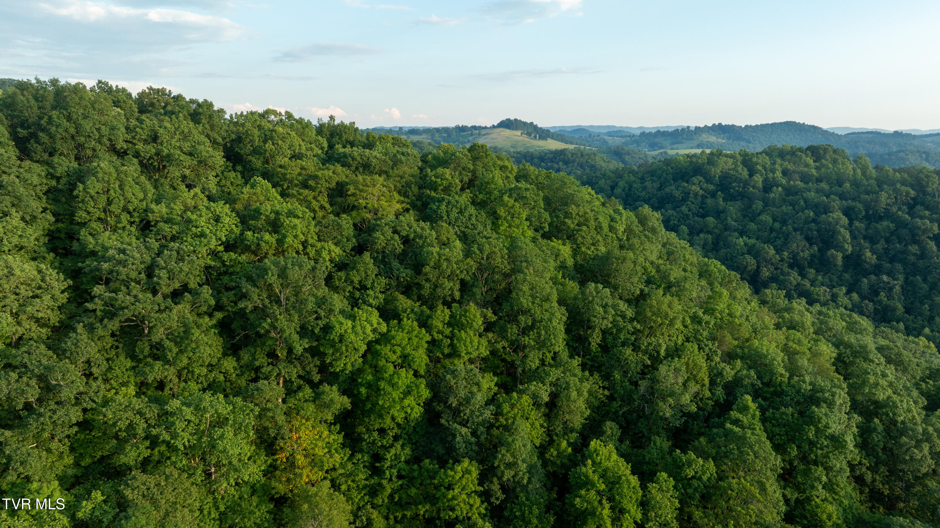 310-ac Ben Bloomer Road Sneedville, TN 37869 - Photo 89 of 98 Copy of _Pic145