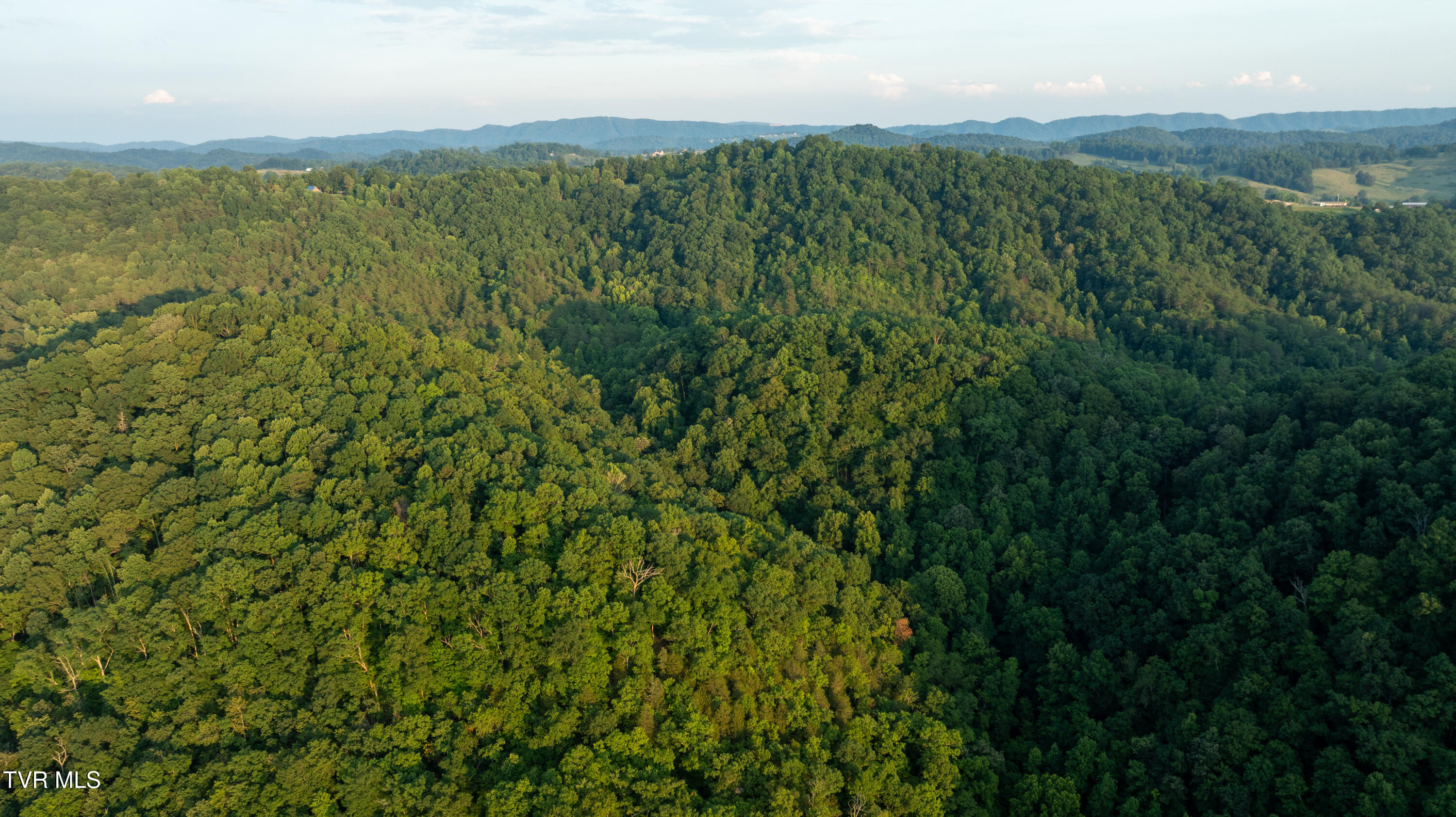 310-ac Ben Bloomer Road Sneedville, TN 37869 - Photo 90 of 98 Copy of _Pic146