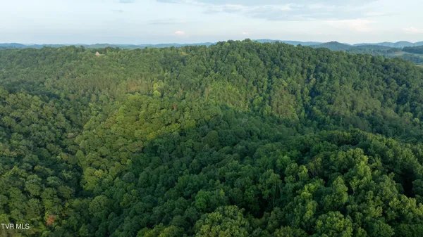 $2,650,000 | 310-ac Ben Bloomer Road, Sneedville, TN 37869