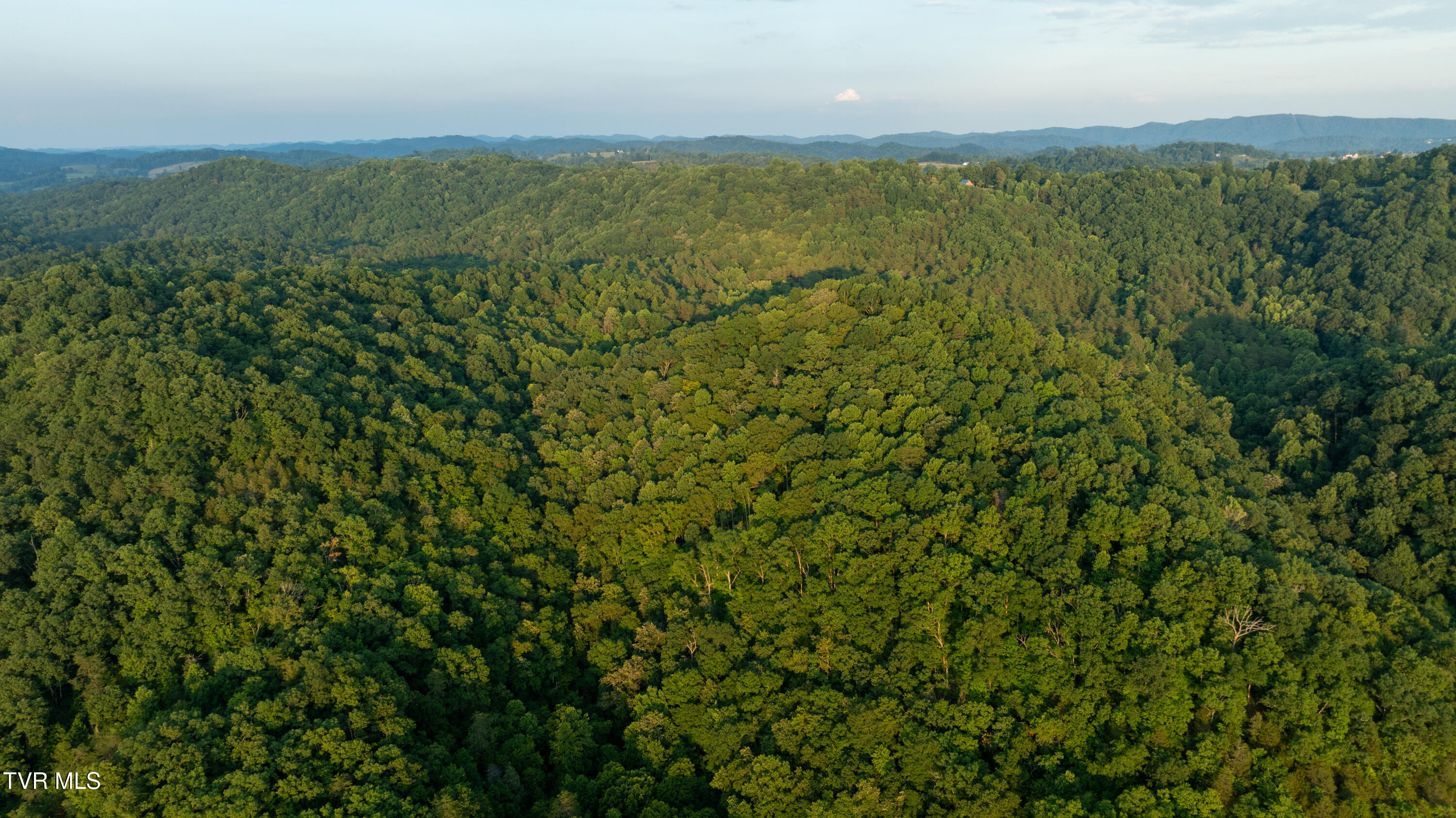 310-ac Ben Bloomer Road Sneedville, TN 37869 - Photo 92 of 98 Copy of _Pic148