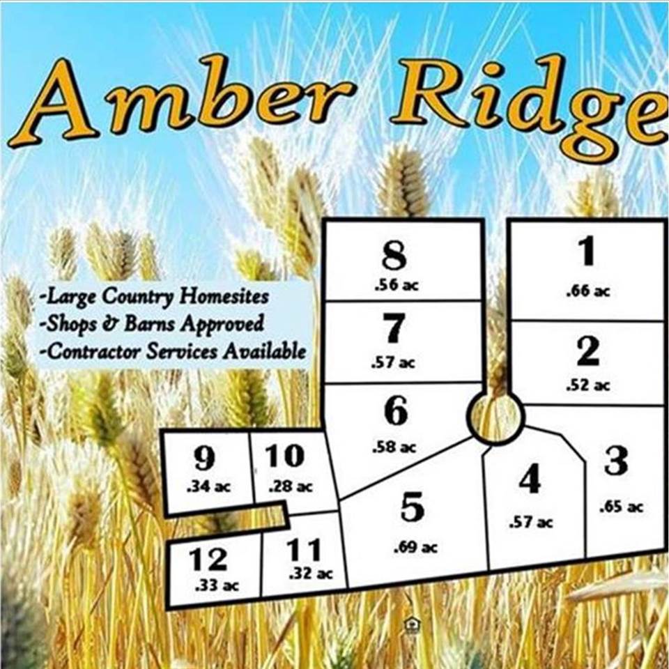 106 Amber Ridge Road Palouse, WA 99161 - Photo 3 of 6 Gallery Image 3