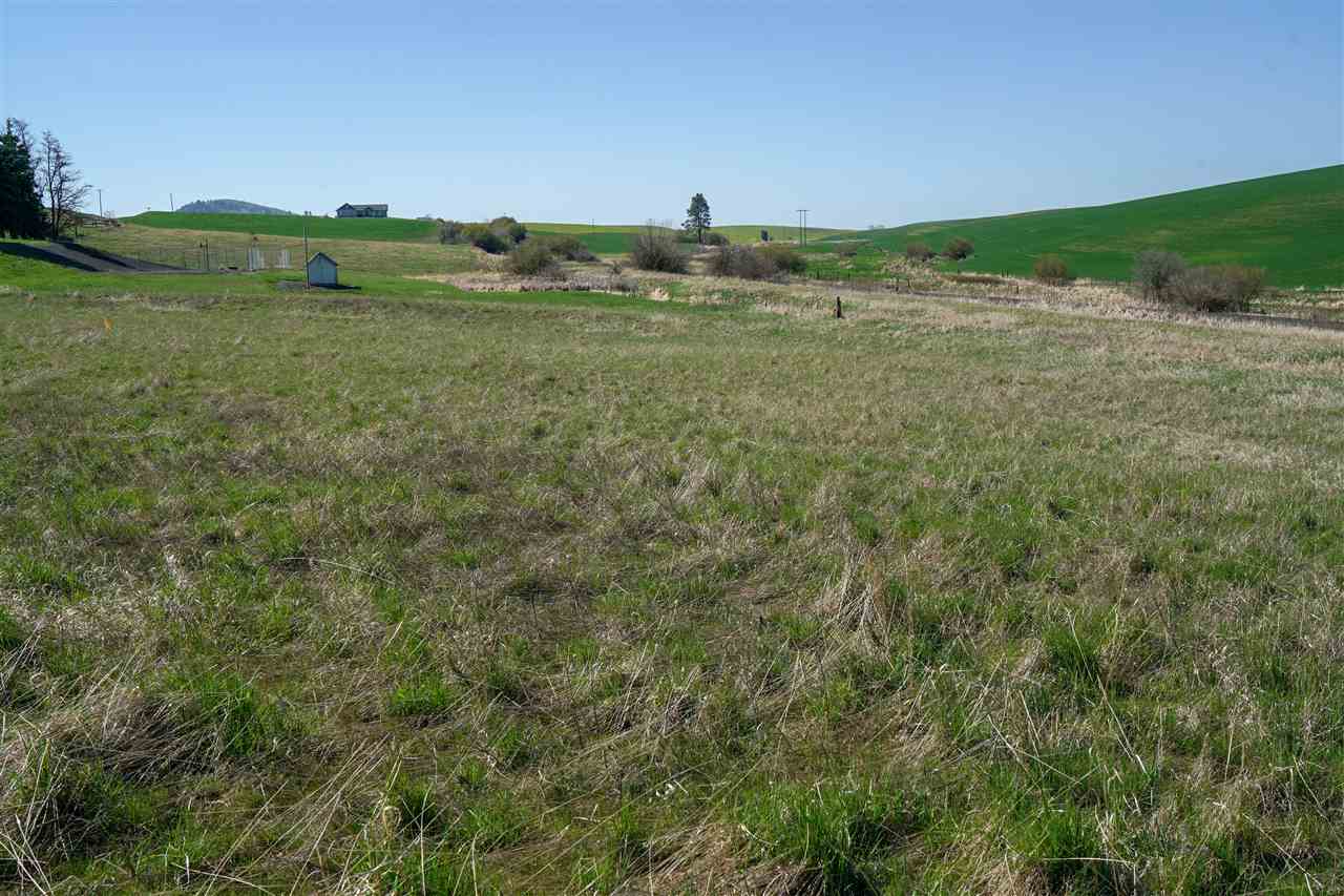 106 Amber Ridge Road Palouse, WA 99161 - Photo 4 of 6 Gallery Image 4