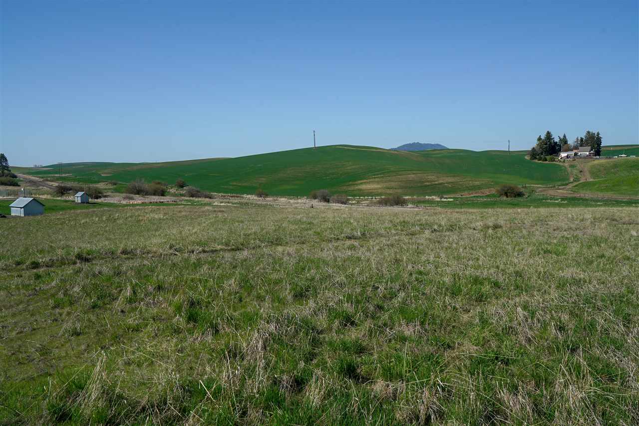 106 Amber Ridge Road Palouse, WA 99161 - Photo 5 of 6 Gallery Image 5