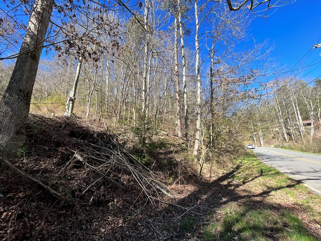 1314 Powdermill Road Gatlinburg, TN 37738 - Photo 4 of 9
