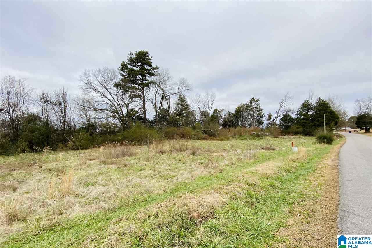 650 Peaceful Valley Road, Unit 98 AC Eastaboga, AL 36260 - Photo 10 of 10